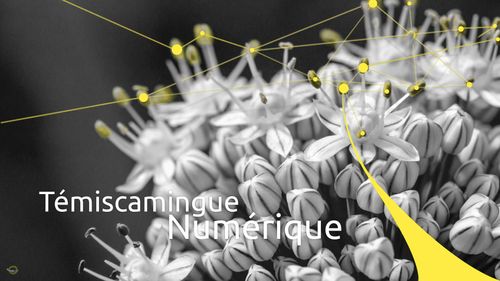 Diner Geek de Novembre